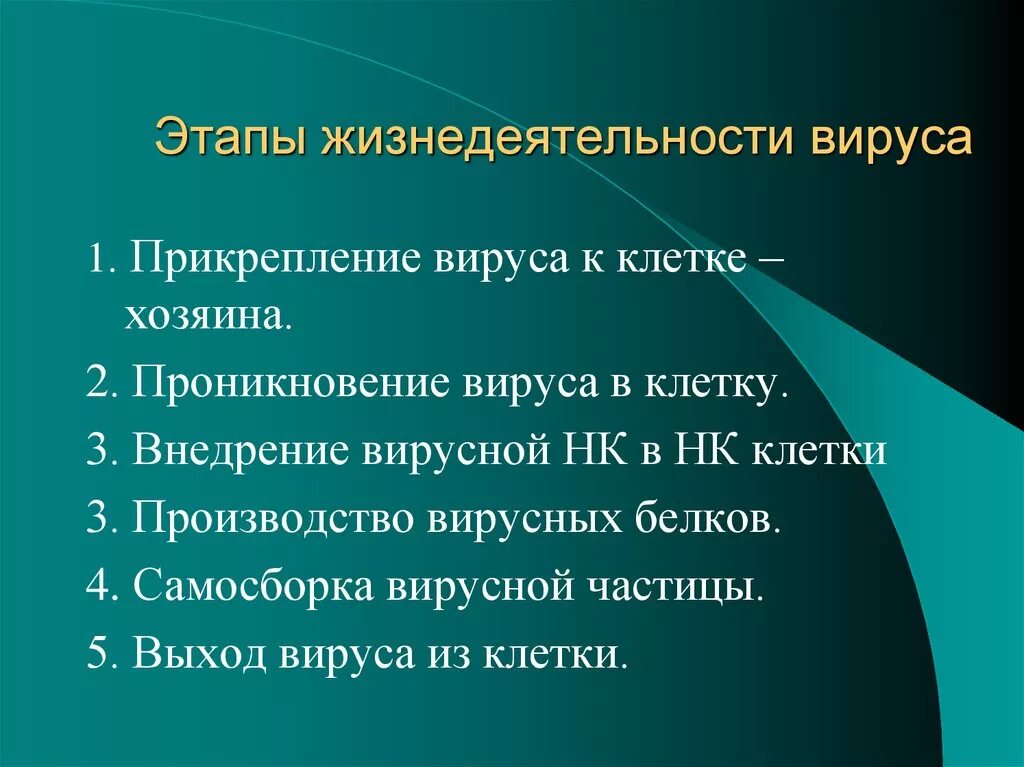 Особенности строения и жизнедеятельности вирусов 5 класс. Этапы жизнедеятельности вируса. Основные этапы жизнедеятельности вируса. Особенности строения и жизнедеятельности вирусов. Строение вирусов и их жизнедеятельность.