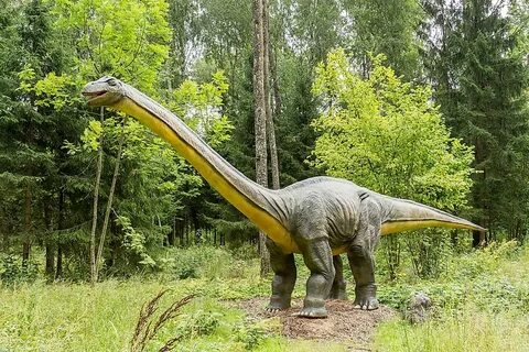 The Diplodocus was a dinosaur that lived between 154 and 152 million years ...