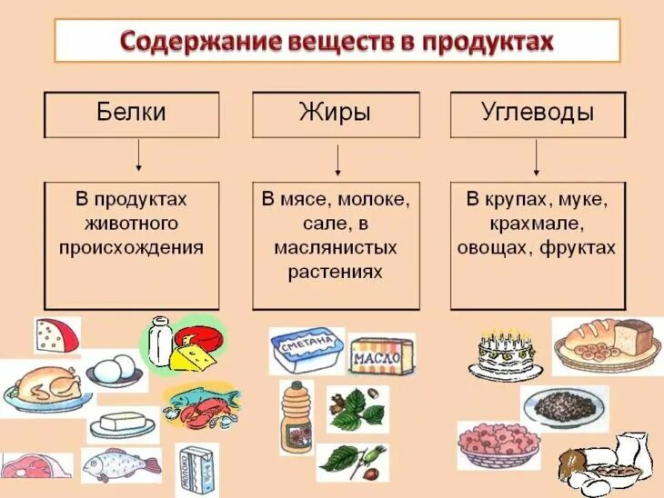 Проведи исследование какие продукты. Белки жиры углеводы в продуктах. Продукты которые содержат белки жиры и углеводы. Жиры белки углеводы в продуктах таблица. Продукты с белками жирами и углеводами.