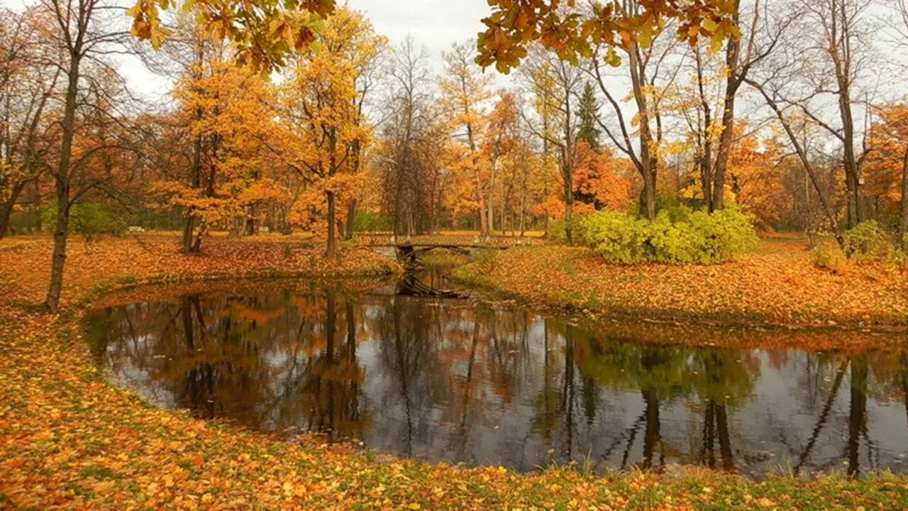 Октябрь первый холодный месяц осени впр. Октябрь природа. Октябрь картинки. Осень сентябрь. Октябрь месяц.