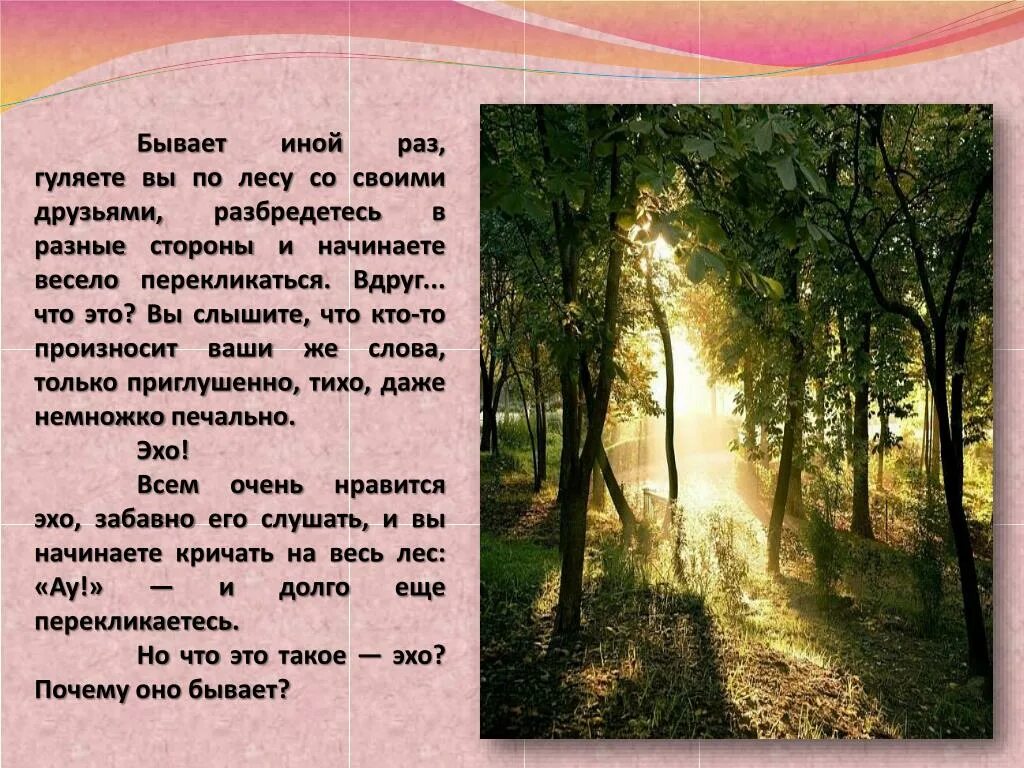 Почему мы слышим Эхо в лесу. Распространение Эха в лесу. Раз гуляя по лесу. Какова особенность распространения Эха в лесу. Эхо другими словами