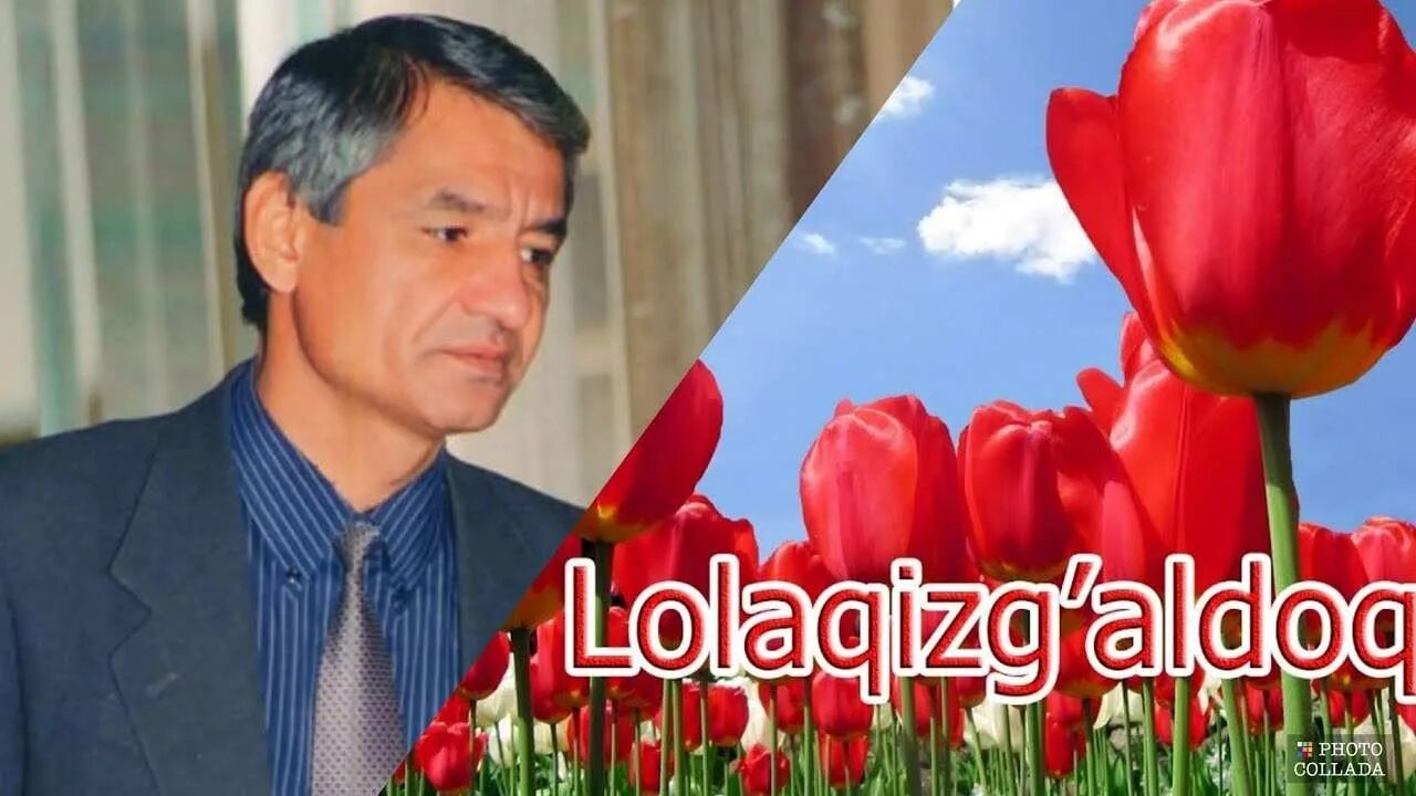 Muhammad yusuf sherlari to plami. Мухаммад юсуф. muhammad yusuf 1954-2001. мухаммад юсуф лолақизғалдоқ. мухаммад юсуф (поэт).