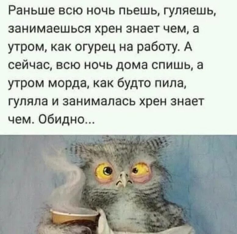 Всю ночь пил гулял