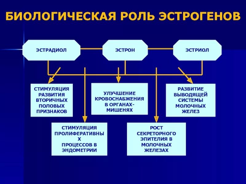 Эстрогены функции. Функции эстрогенов в организме. Биологическая роль эстрогенов. Роль эстрогенов в женском организме. Эстрогены стимулируют