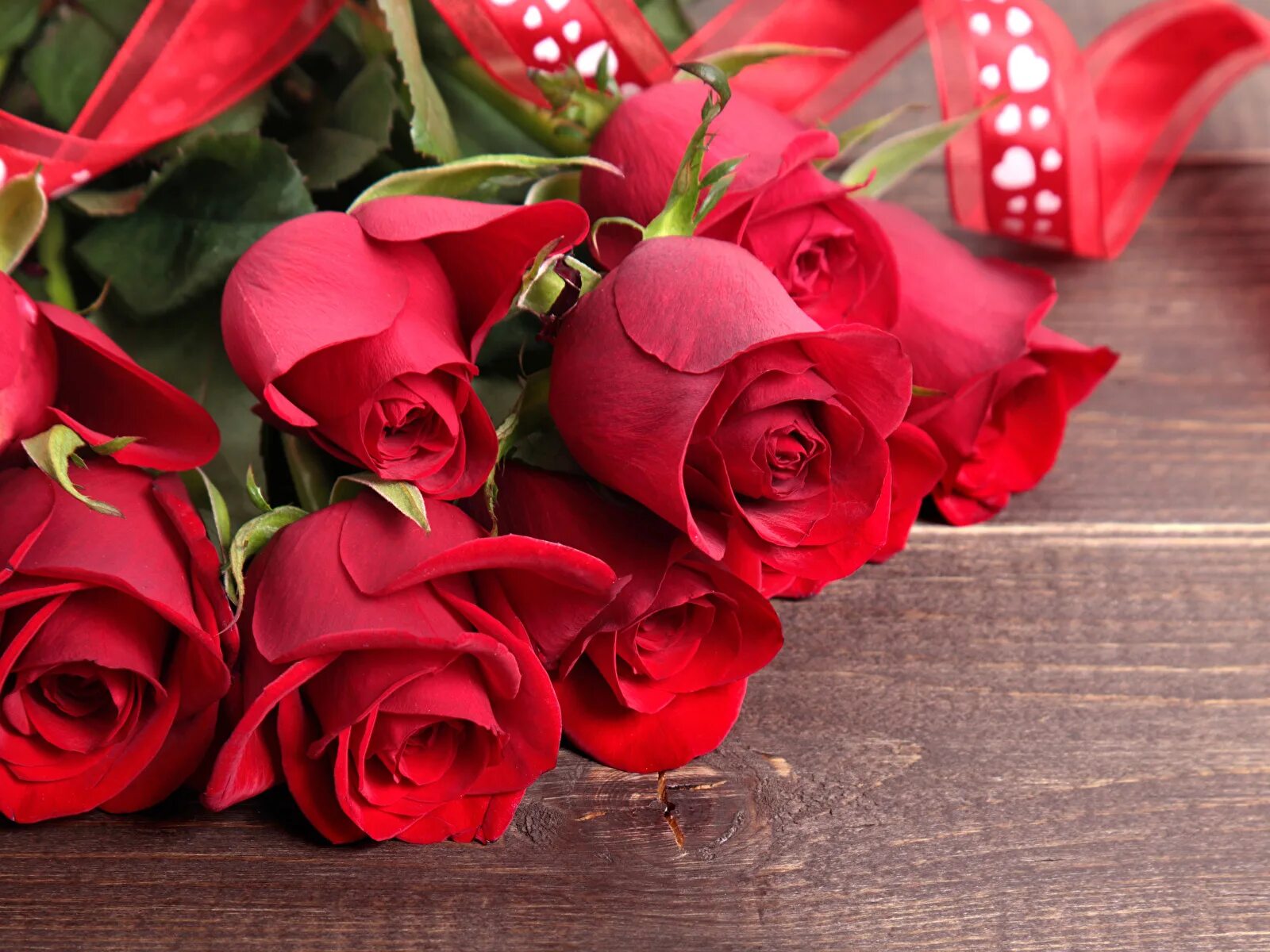 Красный цветочек. Красные цветы фон. Желаю красного. Свидетельство о заключении брака папка. Красные розы.