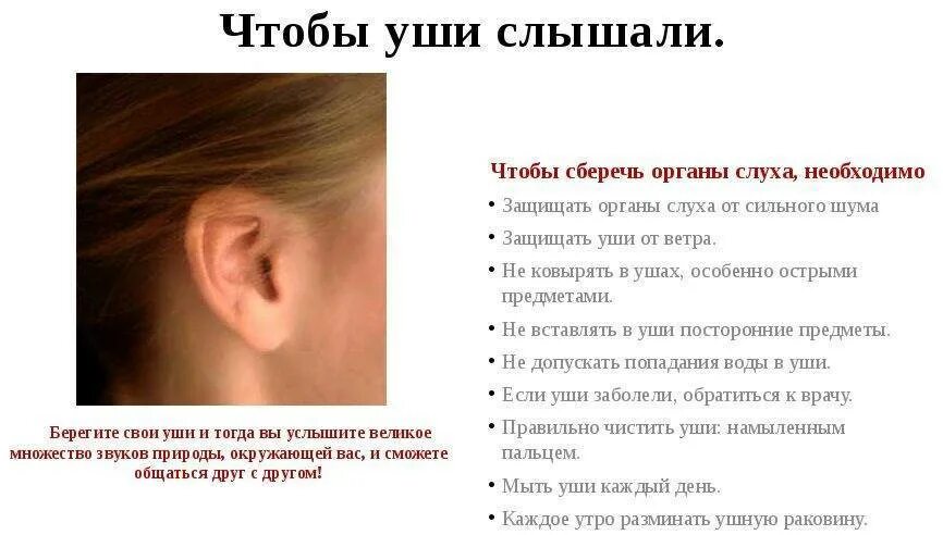 Очень острый слух