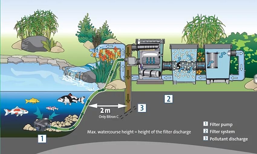 Система фильтрации пруда схема. Система фильтрации УЗВ. Система очистки пруда Oase. Схема фильтрации воды в УЗВ. Пруд сокращение
