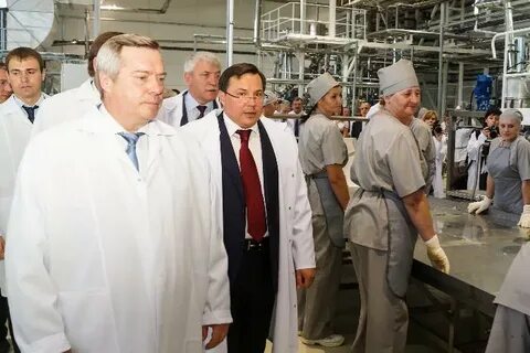 Мишкин директор