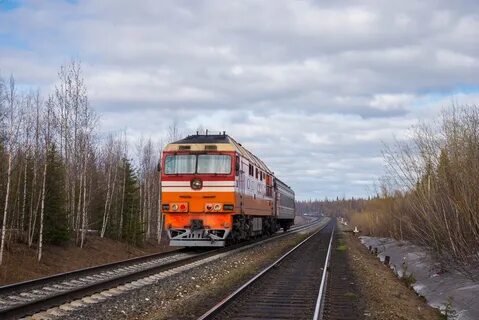 Поезд 561