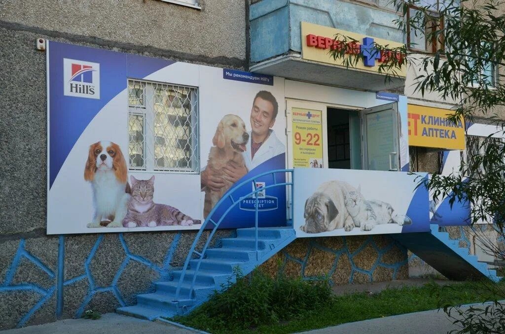 Верные друзья ветеринарная. Ветклиника верный друг тюмень. Эмблема ветеринарной клиники. Ветклиника верный друг. Верный друг тюмень народная.