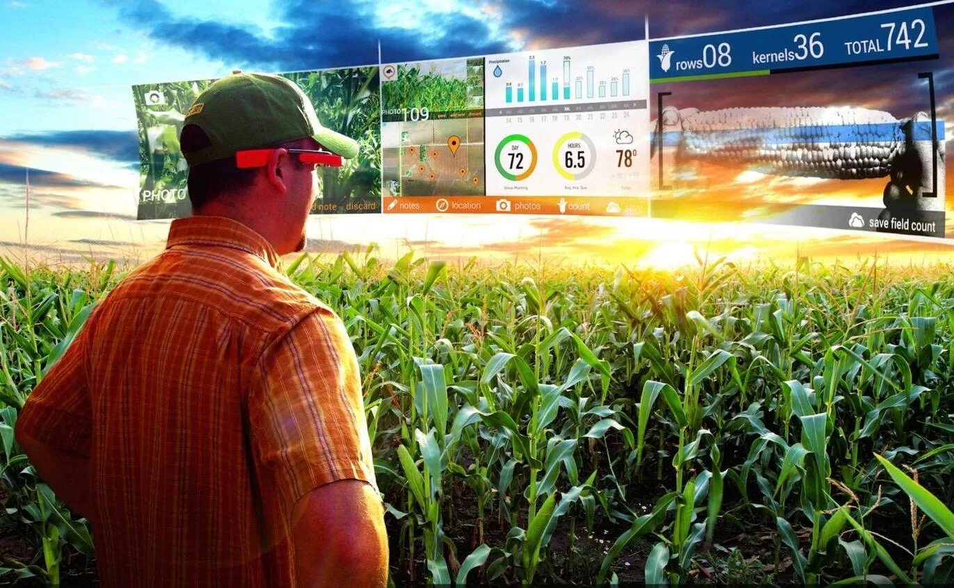 Цифровое сельское. Технологии в сельском хозяйстве. Цифровизация сельского хозяйства. Инновации в сельском хозяйстве. Цифровые технологии в АПК.