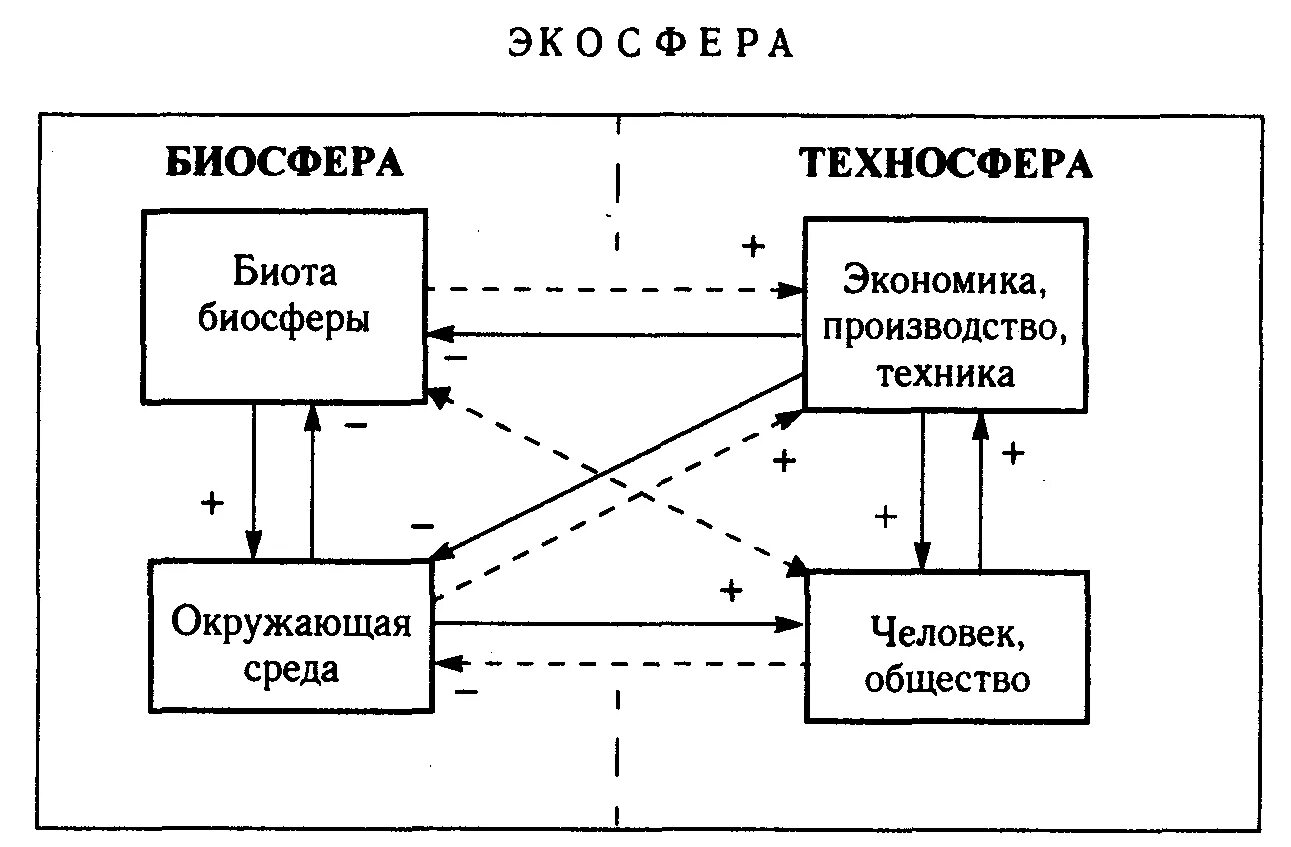 Биосфера производство. Схема взаимодействия между главными компонентами экосферы. Диаграмма взаимосвязи системы с окружающей средой. Схема отражающая состав экосферы. Техносфера схема.
