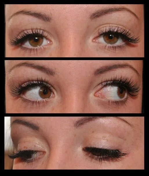 Shu Uemura S Curl Eyelash Curler Eye Makeup Blog Eyelash extensions, Eyelashes
