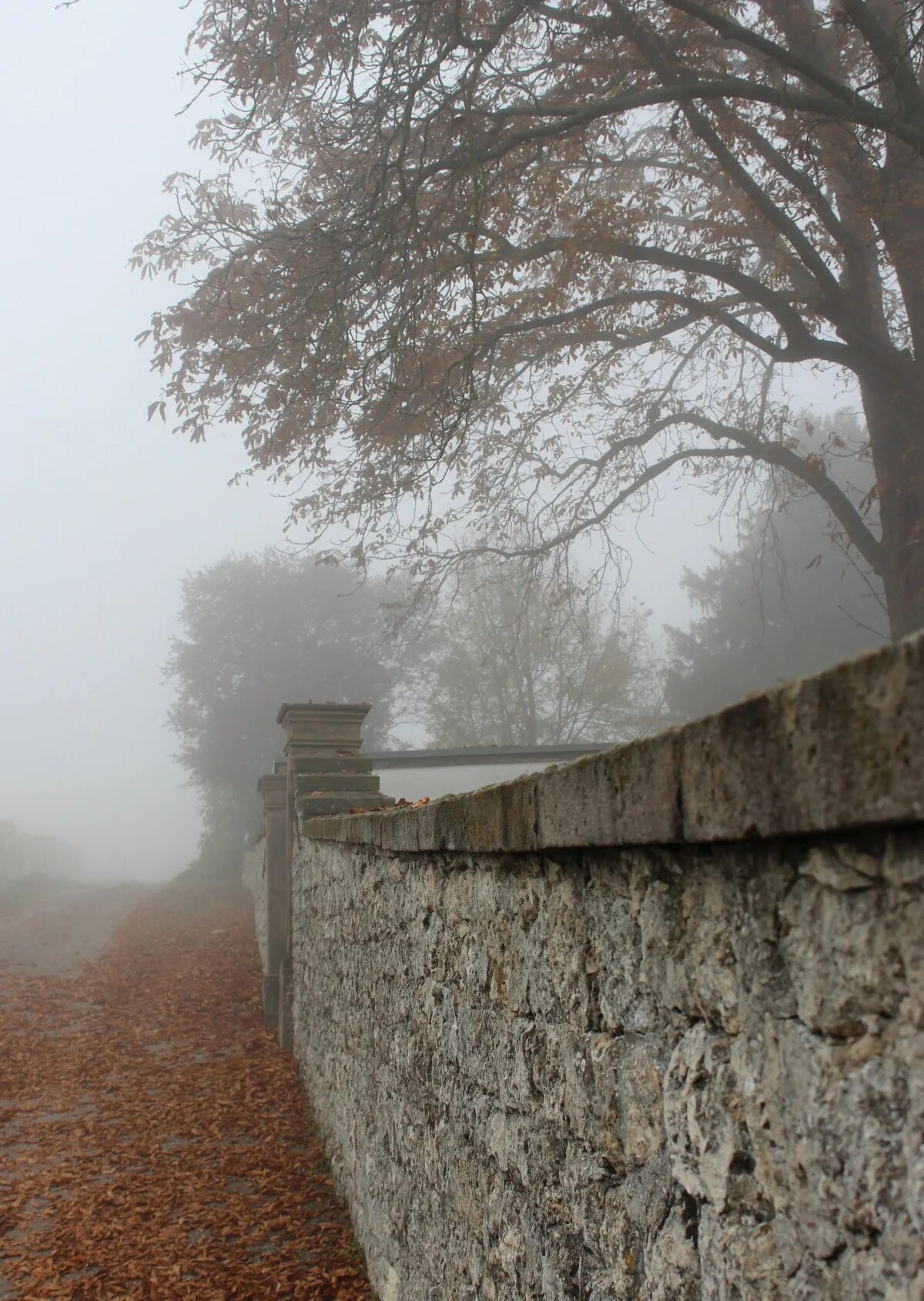 Wall fall. Забор в тумане. Осень кладбище туман. Каменный забор у обрыва. Забор из туманно серого листа.