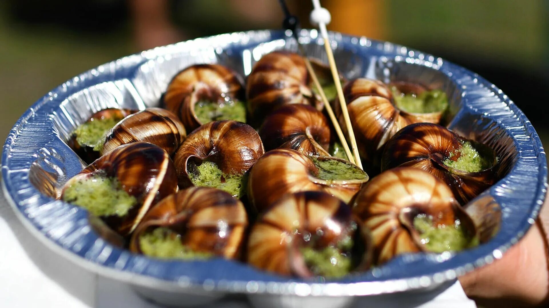 Поесть улиток. Эскарго улитки Греция. Улитка Виноградная escargots. Виноградные улитки деликатес. Улиточная ферма ахатин.