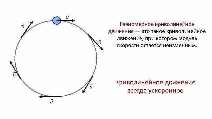 Траектория криволинейного движения. Равномерное движение МТ по окружности. Уравнение траектории криволинейного движения. Криволинейное равномерное движение по окружности.