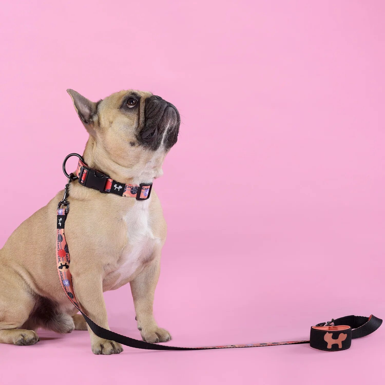 M pets шлейка для собак. United pets. Nobby classic длина 30-45 см ширина 15 мм ошейник для собак нейлон оранжевый 1х120. Ложка united pet. Союз зверей спасение двуногих роджер.