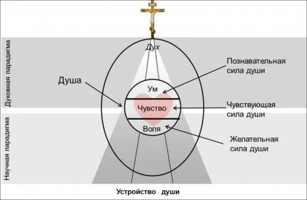 Рассчитать жизнь души. Структура души. тело душа и дух в православии. составляющие души человека. схема души человека.