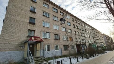 Золотой березники