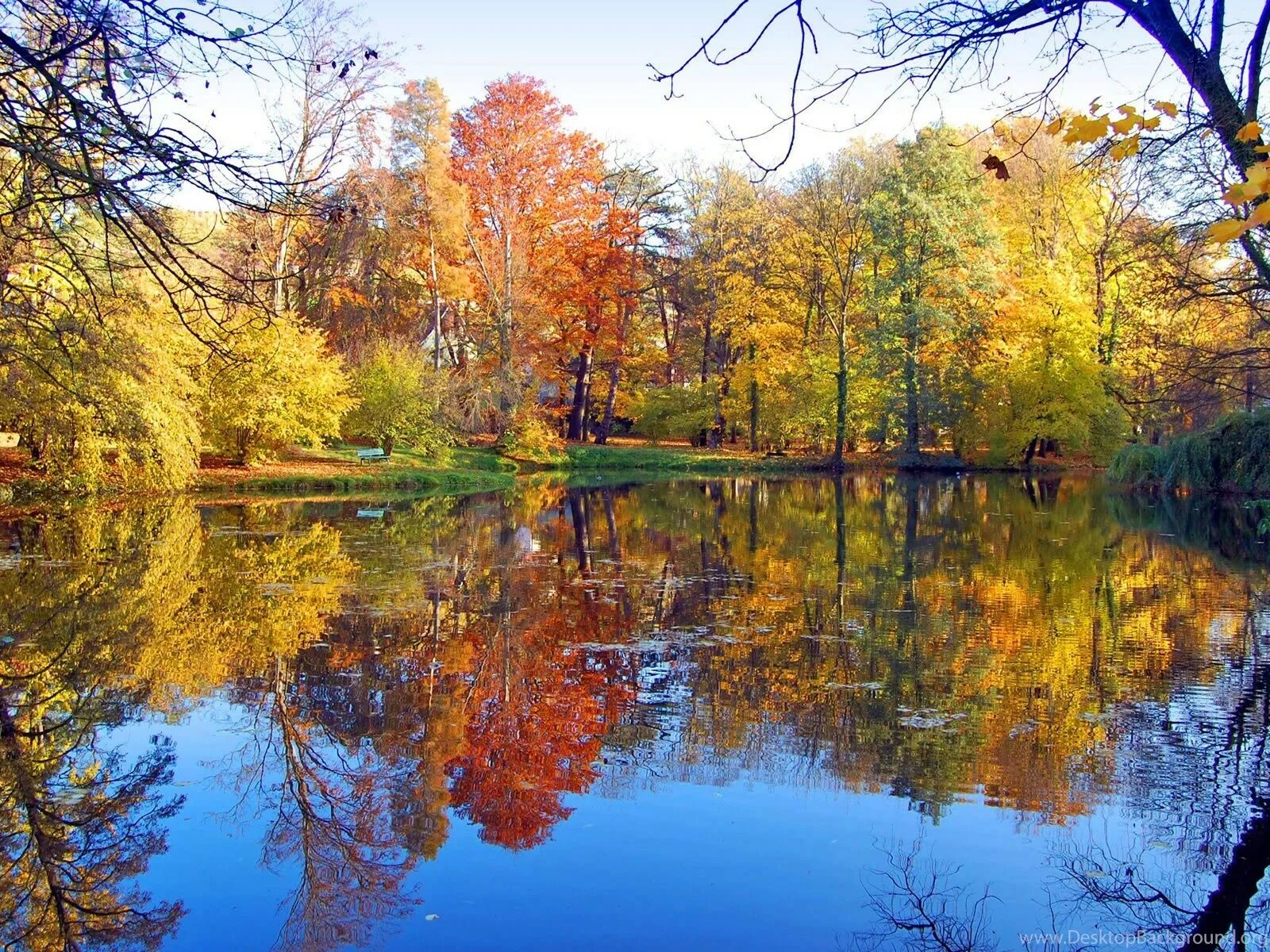 Ранняя осень. Пейзаж ранняя осень. Осеннее озеро. Золотая осень озеро. Autumn is beautiful