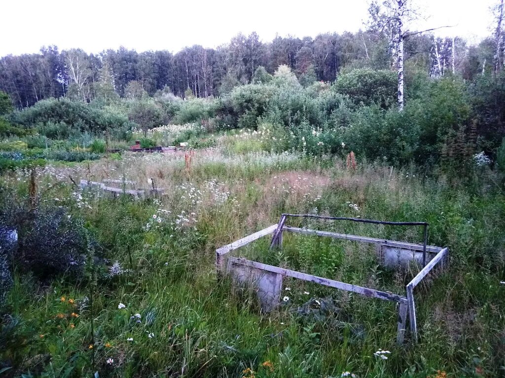 Снт кристалл клетки. Кристаллы для садоводства. Мяглово снт кристалл. Участок снт кристалл. Участок снт кристалл.