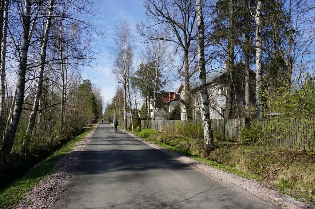 Лосиная улица. Поселок Лисий нос Санкт-Петербург. Поселок Лисий нос. Петербург Лисий нос. Посёлок Лисий нос Ленинградская область.