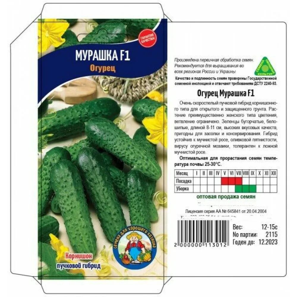Огурцы Мурашка. Выбираем самые лучшие индетерминантные огурцы. Мой приусадебный 