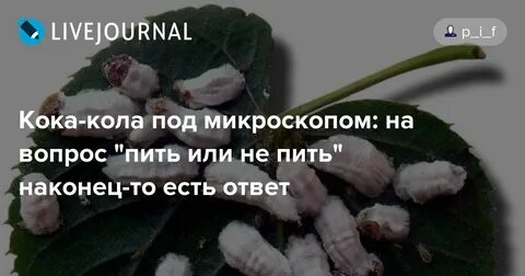 Что ответить на вопрос что пьем