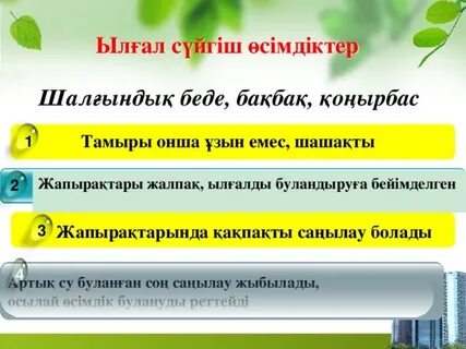 Минет жігіт Тверь