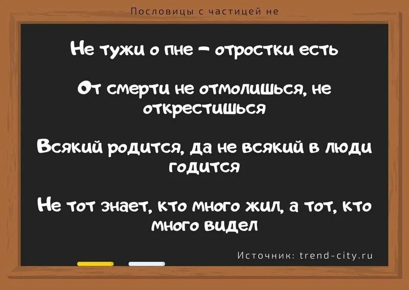 Поговорка в свои сани не садись. Пословицы про час. Пословицы с частицей не. Поговорки с частицами. Пословицы с частицами.