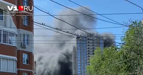 Кучино 27.05 2024