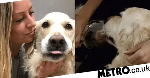 She is dog