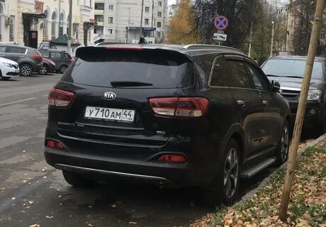 Гарант 44