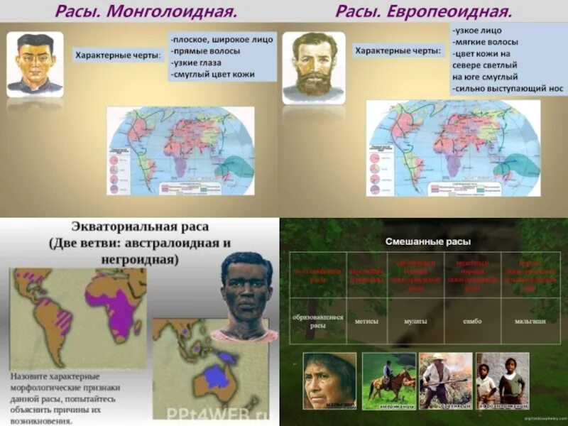 Европеоидная монголоидная негроидная раса таблица. Человеческие расы. Эволюция человека расы человека. Современные расы человека. Человеческие расы 9 класс презентация