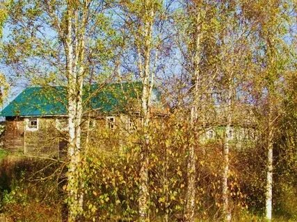 Шапша вологодская область