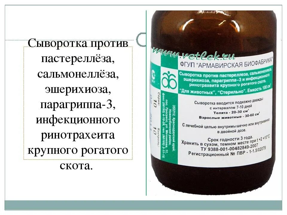 Сыворотка против пастереллеза сальмонеллеза. Сыворотка против пастереллеза КРС инструкция. Сыворотка против пастереллеза КРС. Сыворотка 8 валентная для КРС.