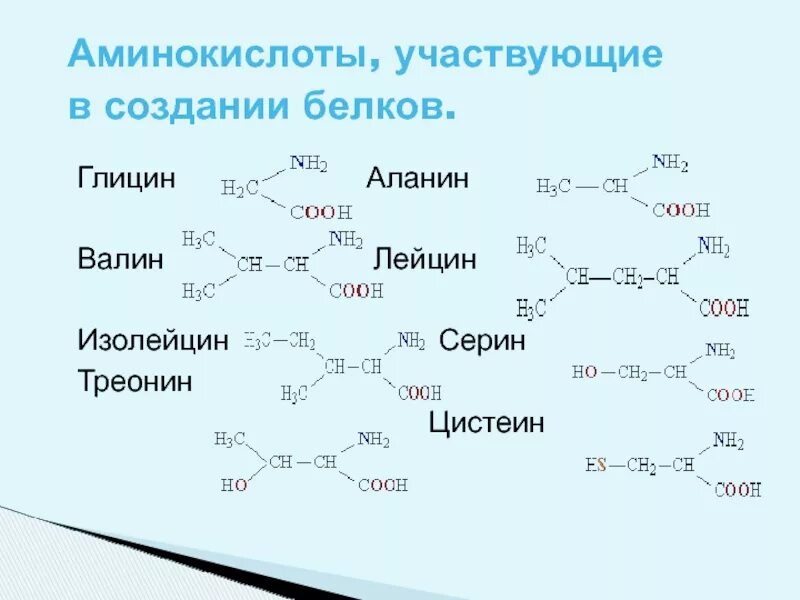 Лейцин аминокислота формула. Глицин аланин цистеин. Глицин плюс цистеин. Глицин аланин Валин. Напишите реакцию глицина