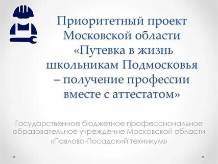 Проект путевка в жизнь