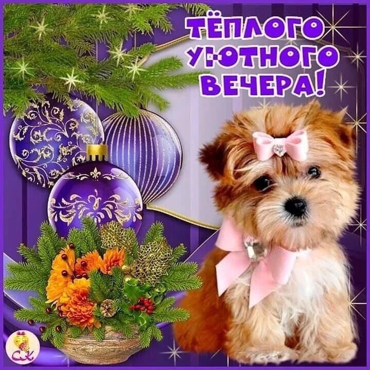 Добрый вечер прикольные новые: найдено 85 изображений