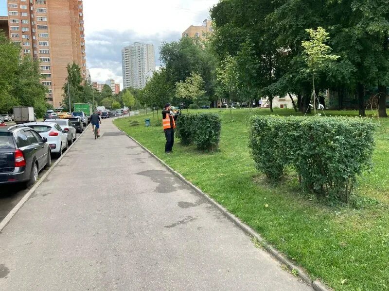 жилищник байкальская