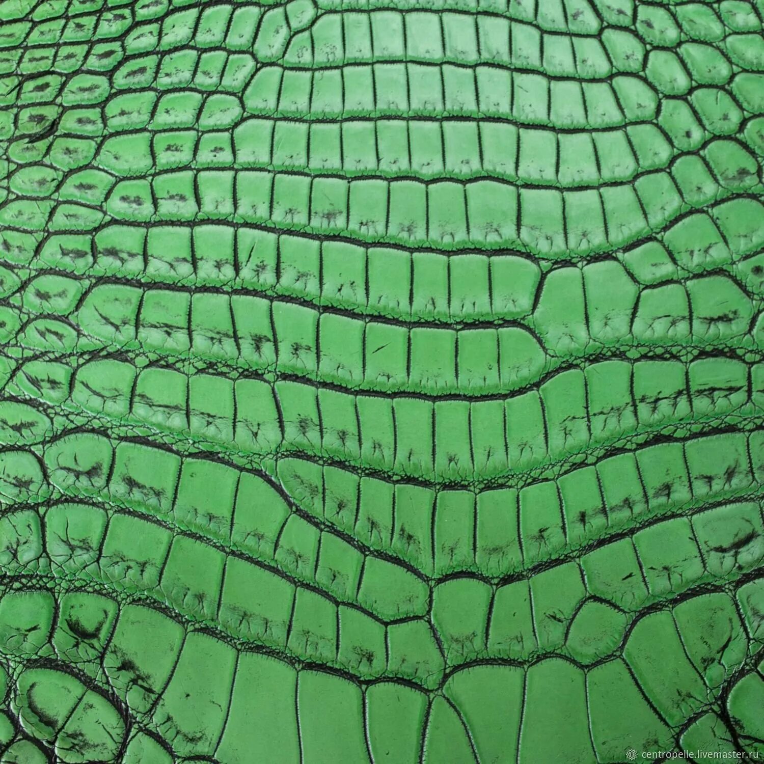 Какой крокодил зеленый. Зелёный Кайман кожа. «Кожа крокодила». Кожа крокодила текстура. Зеленая крокодиловая кожа.
