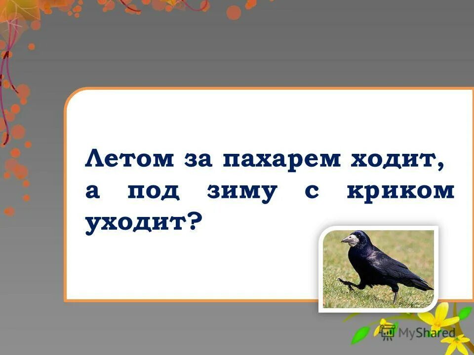 Ходит ходит а в дом не заходит. Летом за пахарем ходит а под зиму с криком уходит. Летом за пахарем ходит. Летом за пахарем ходит а под зиму с криком уходит отгадка. Отгадай загадку летом за пахарем ходит а под зиму с криком уходит.