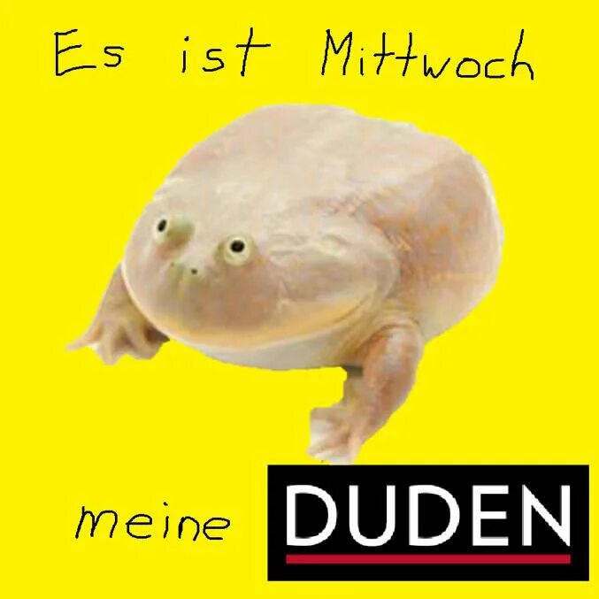 Ist schon gut. Ist schon gut