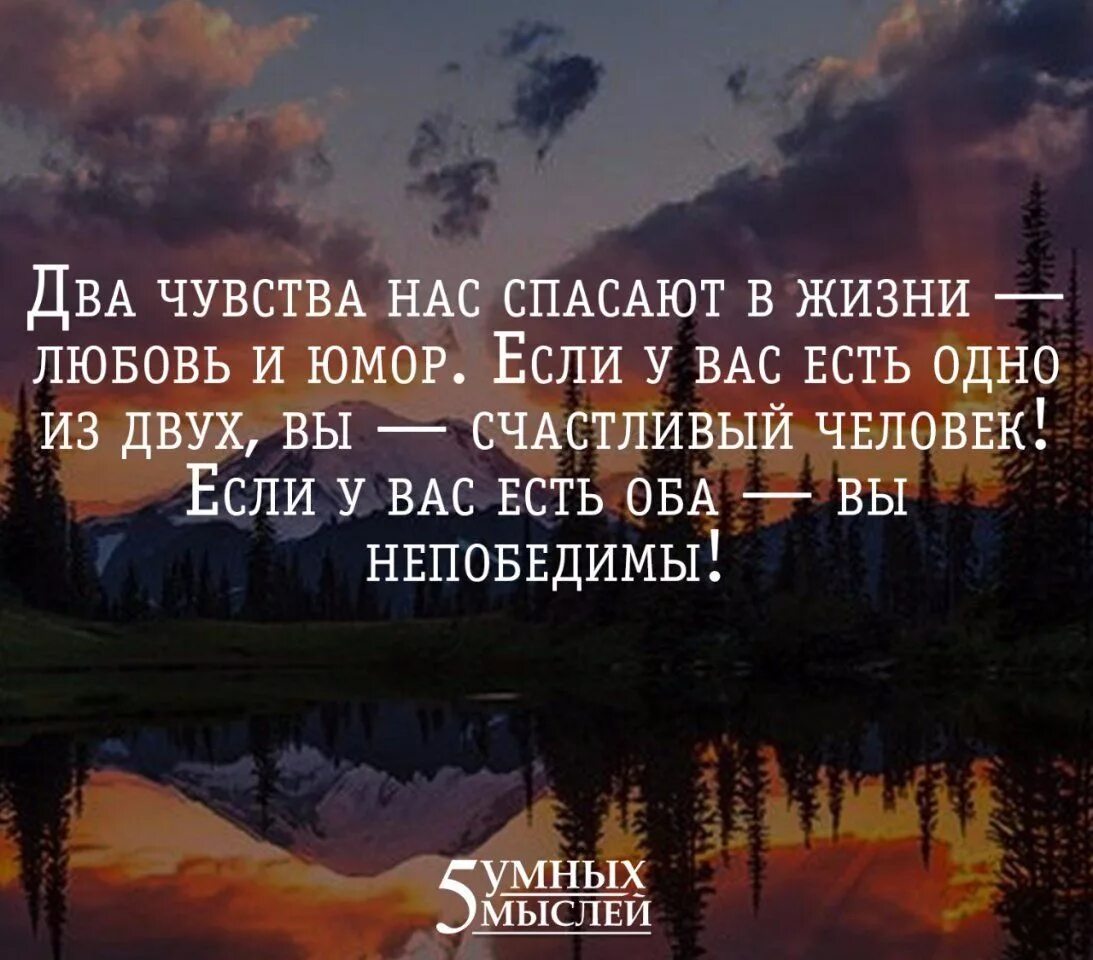 Выражения о смысле жизни. Красивые и умные цитаты. Мудрые мысли. Мудрые афоризмы. Философские высказывания.