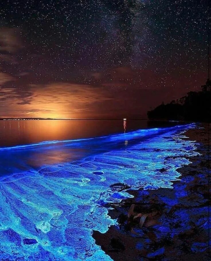 Остров ваадху. Голубой свет в море. Ночное море. Водоросль ночесветка черное море. Остров ваадху мальдивы.