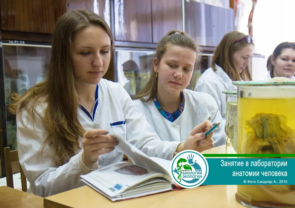 кгпу биоэко. флаг кафедры экологии. преподавательская. семенова наталья александровна генетик. кафедра биологии и экологии.