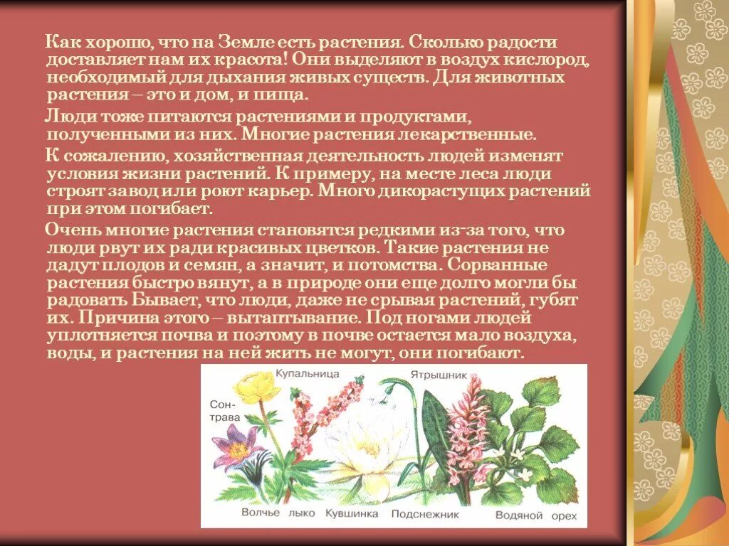 Растений человеком становится. Если с земли исчезнут растения. Земля если не было растений. Что будет если на земле исчезнут растения. Рассказ если бы на земле не было растений.