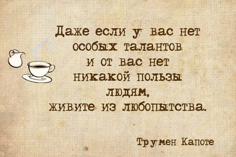 Выдумывание названий особый талант есть люди которые. Цитаты про любознательность. Афоризмы про любопытство. Про любопытных людей высказывания. Любопытство цитаты.