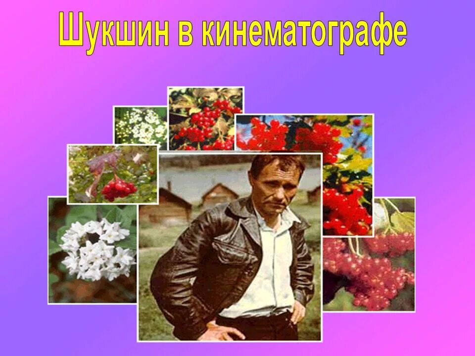 Урок шукшин 11 класс. В М Шукшин. Творчество Шукшина. Шукшин презентация.