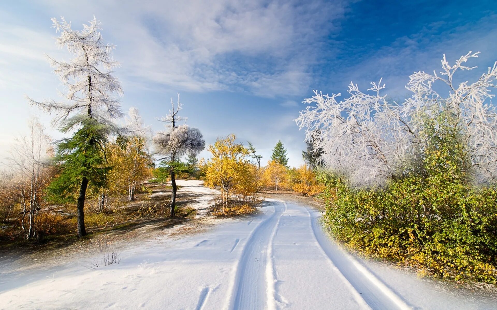 Зимняя природа. Зима пейзаж. Красивая зима. Снежный пейзаж. Солнечный день январь